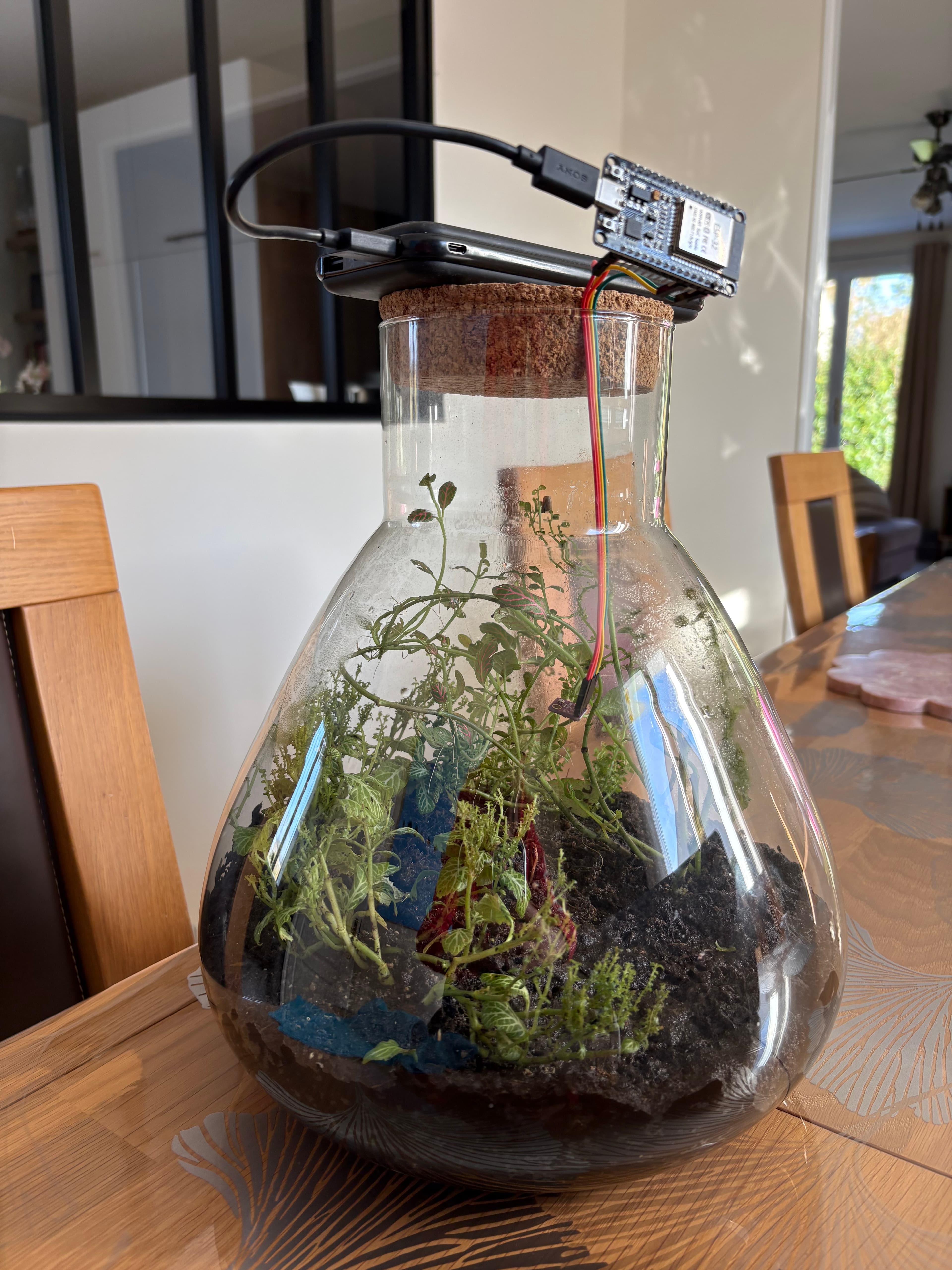 Terrarium + ESP32