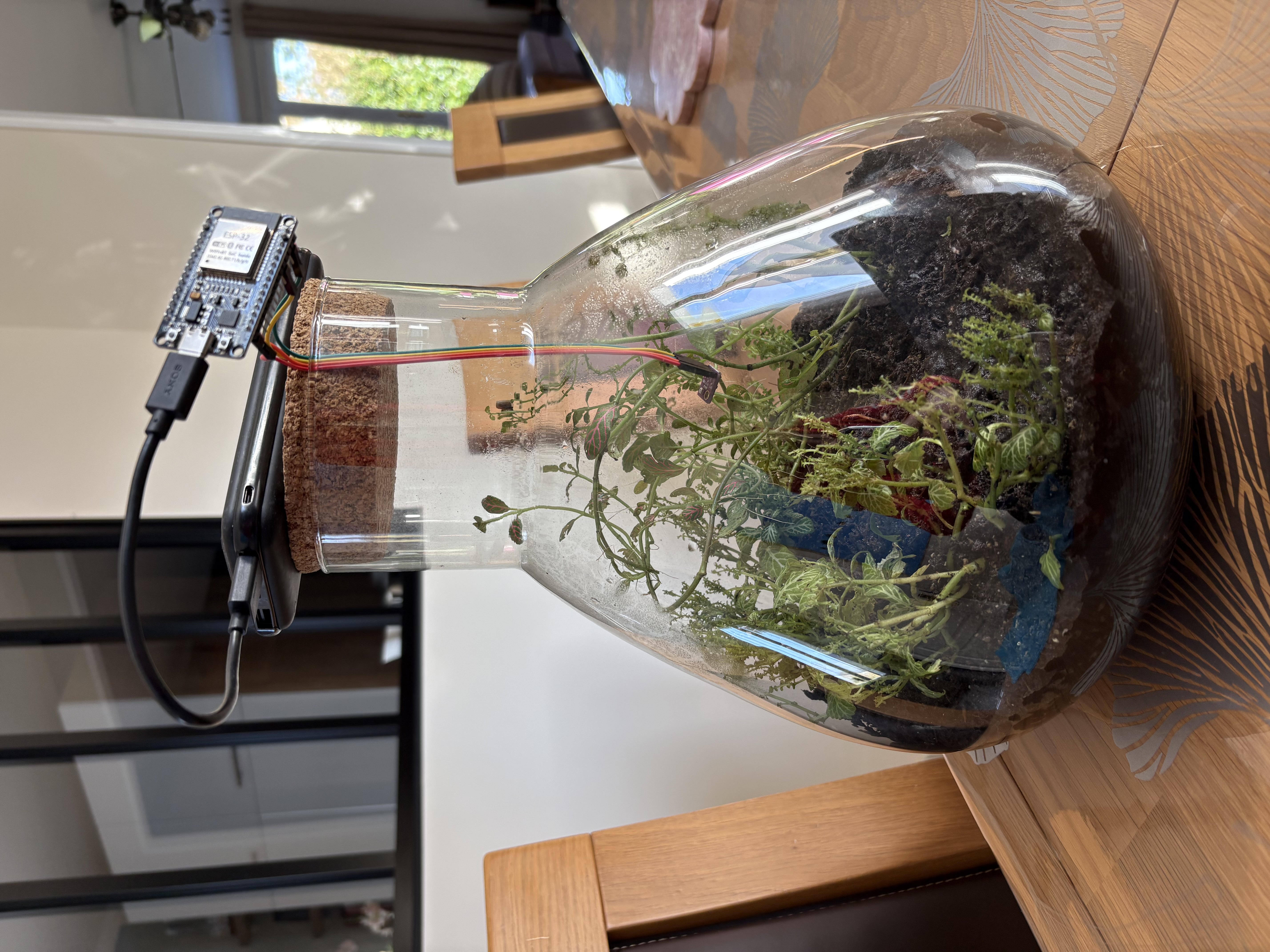 Terrarium + ESP32